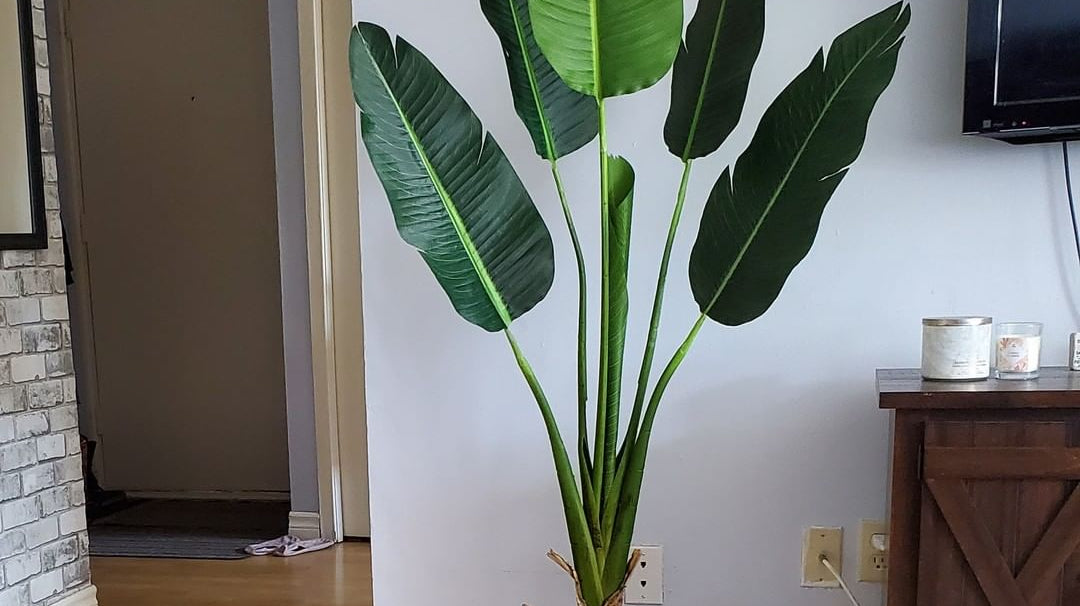 Looking for a Faux Traveller Palm Tree – Check ArtiPlanto Cyber Monday Deals!