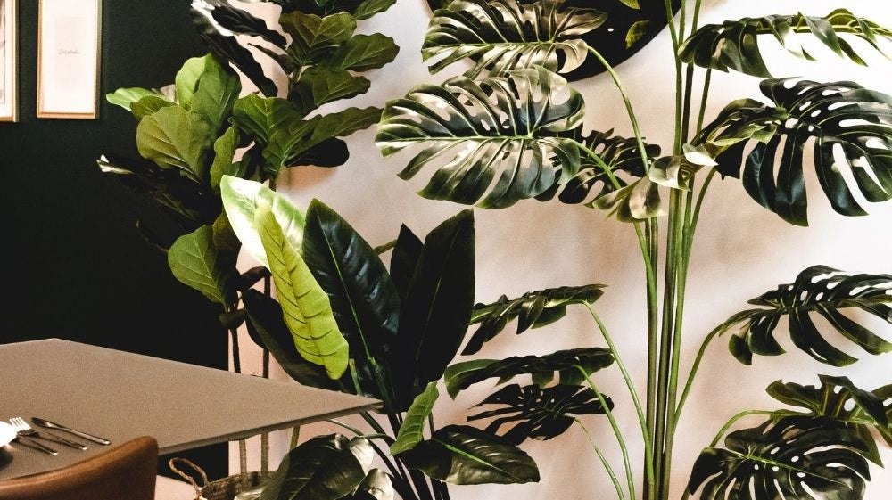 Winter Office Decorating Ideas