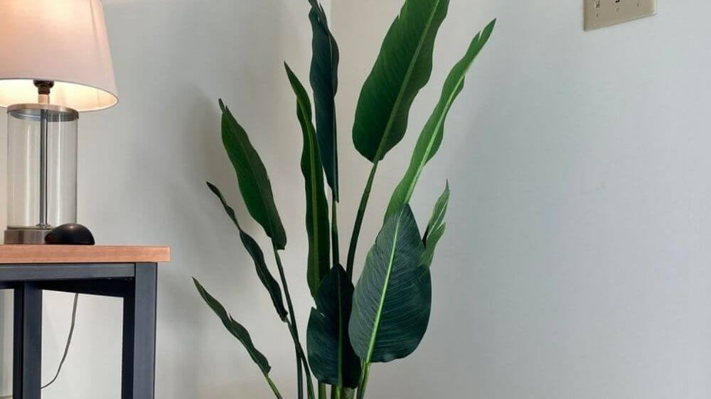 How to Decorate Your Office with Fake Plants And Accessories