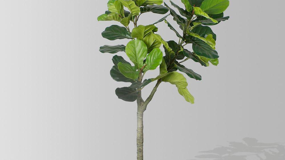 The 7 Best Artificial Plants of 2019