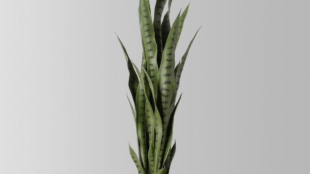 How to use artificial plants indoor?