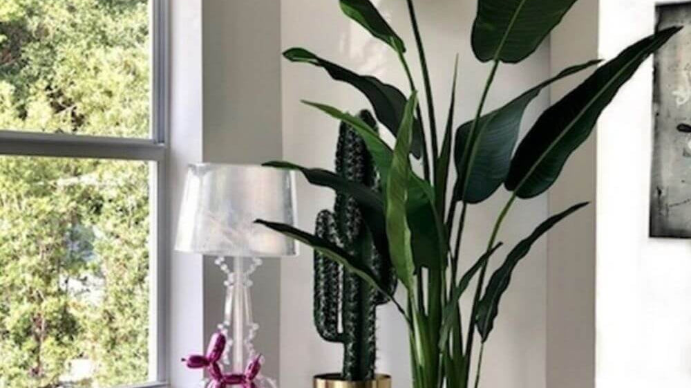 How to Choose Your Artificial Plant Based On Your Zodiac Sign