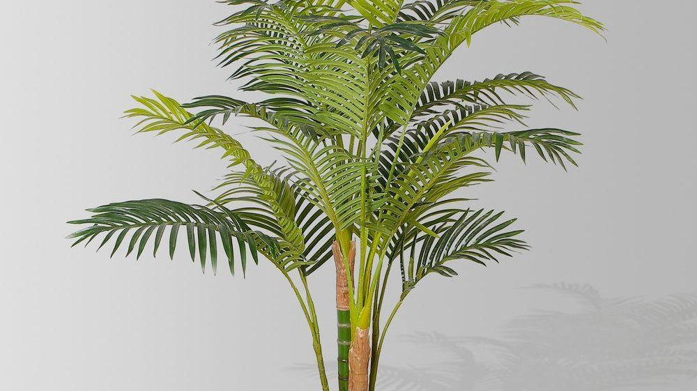 Things to consider before buying artificial palm tree