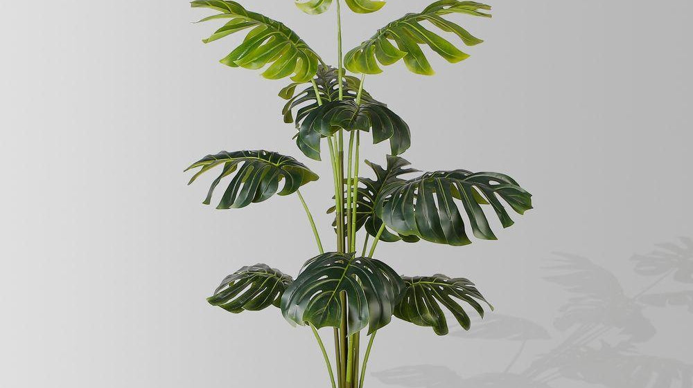 Where to buy the best artificial plants online? | Artificial Plants