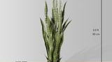 How to Pick a Planter for Your Big Plant