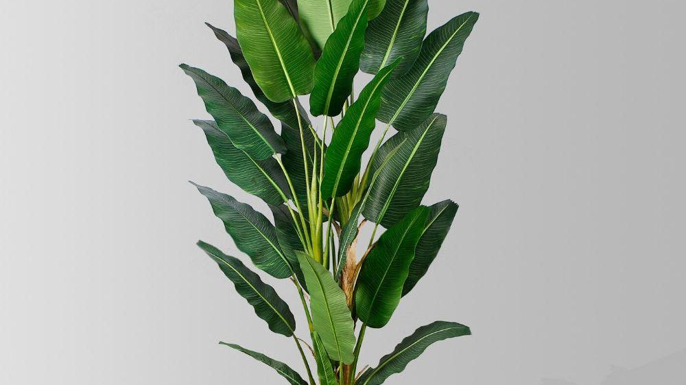 How Long Do Outdoor Artificial Plants Last