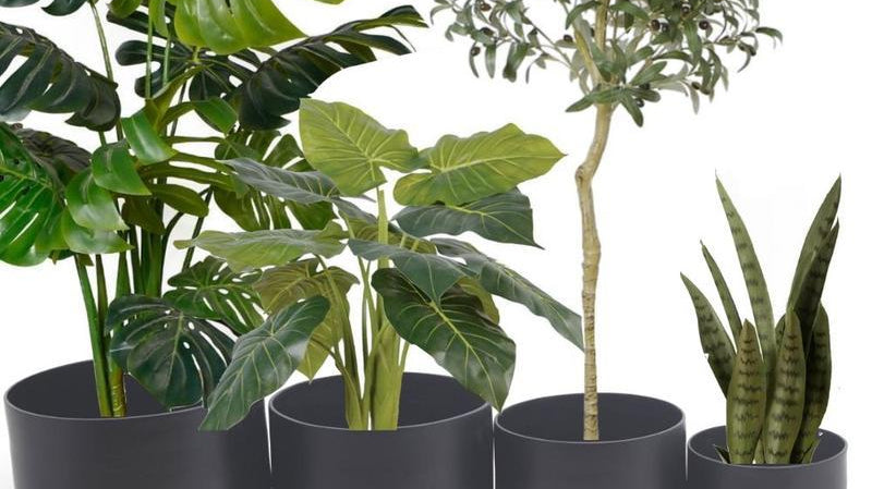 How to Care for Artificial Plants
