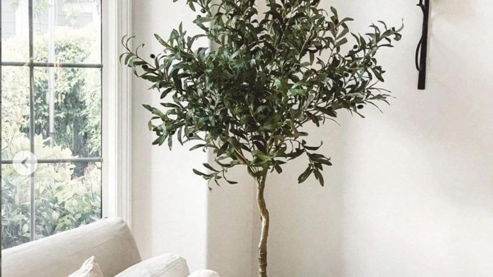 Why Faux Olive Tree Make the Best Seasonal Best Sell?