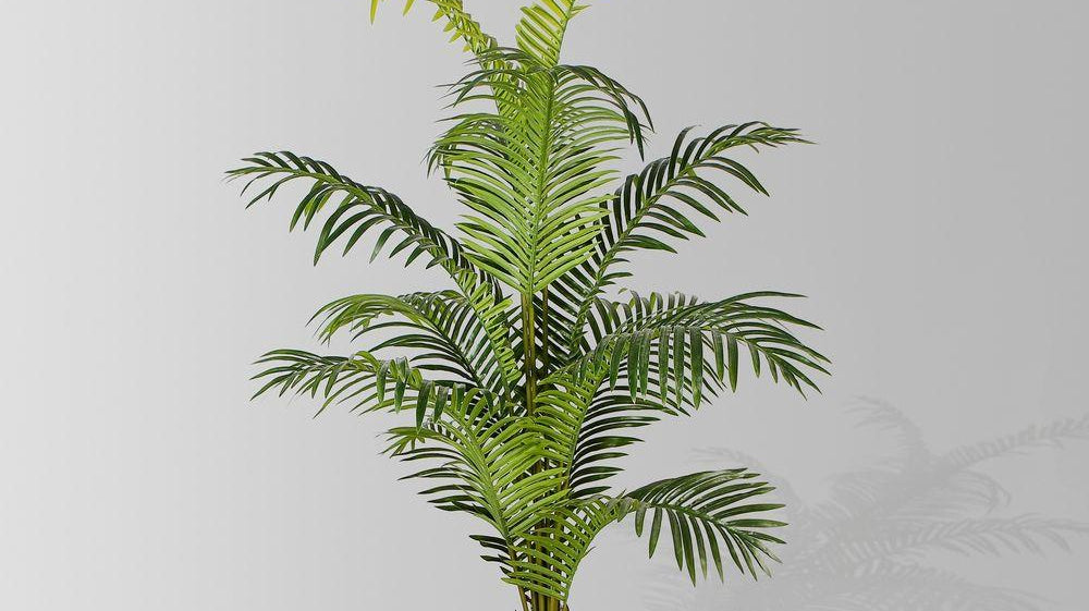 Faux Florals & Plants: What do I need to know