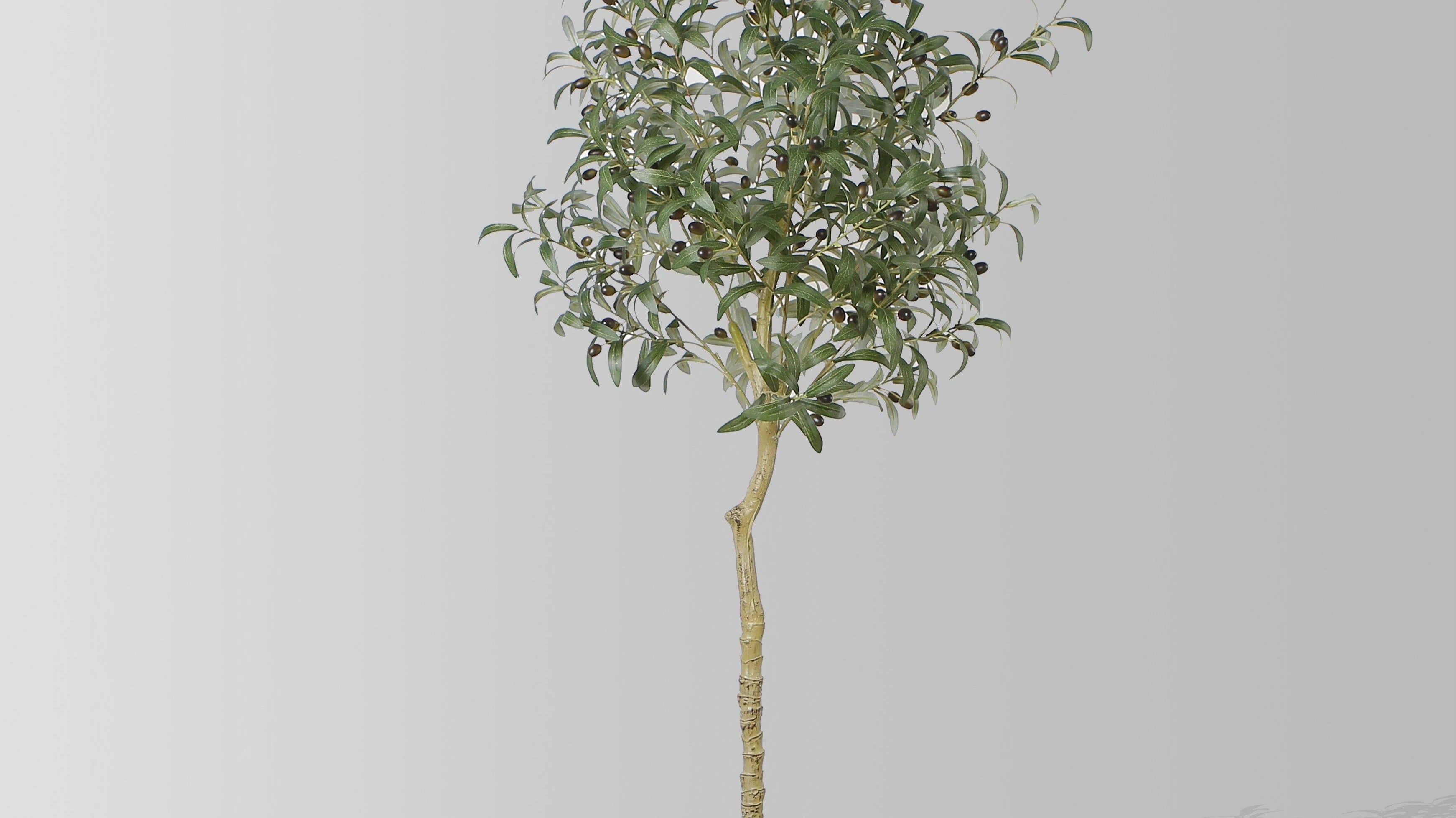 Why Is a Faux Olive Tree the Best Choice for Spring?