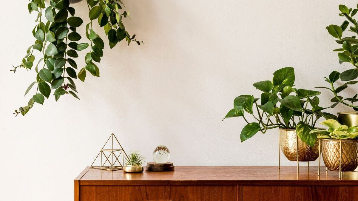 Why the Concept of Fake Plants is Always in Style