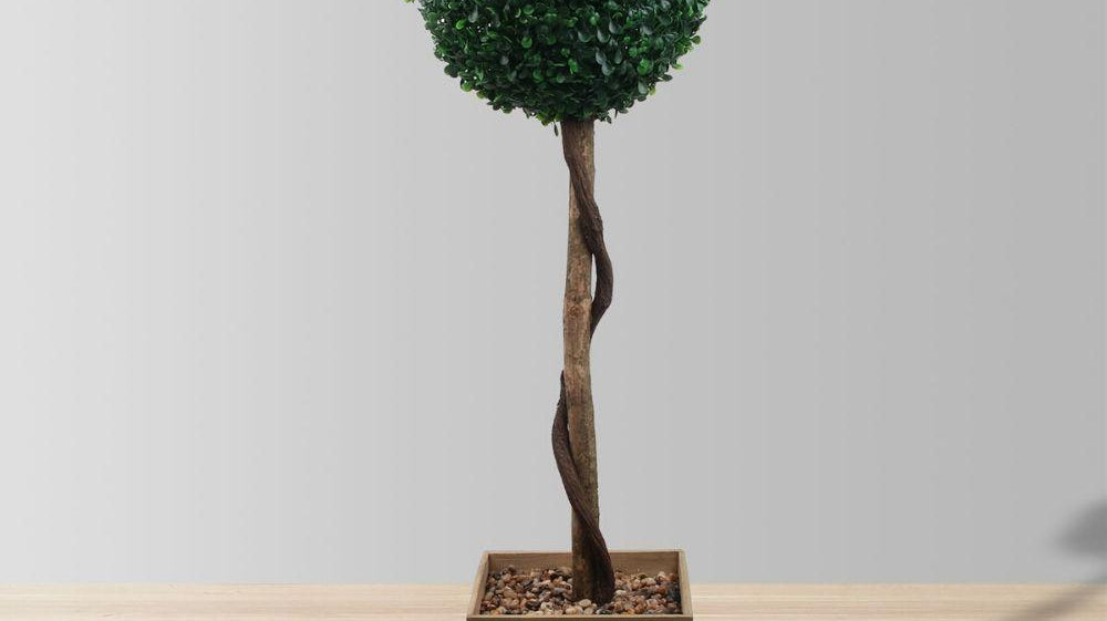 How to Infuse Your Home Décor with Boxwood Topiary Designs