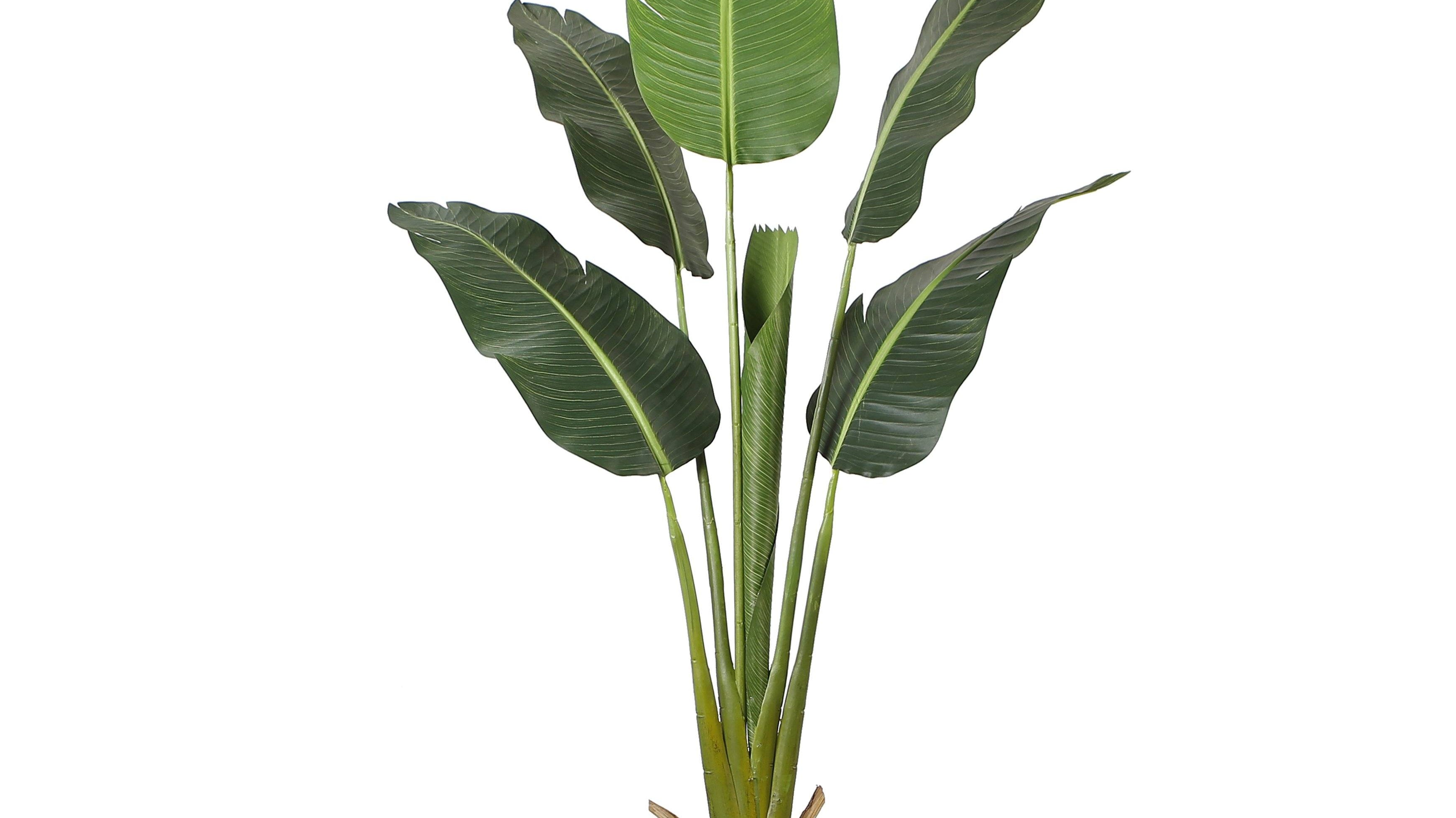 Ultimate guide to buying your fake plants for home & office | Artiplanto
