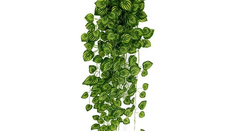 Top 5 Ways to Create a Hanging Indoor Garden