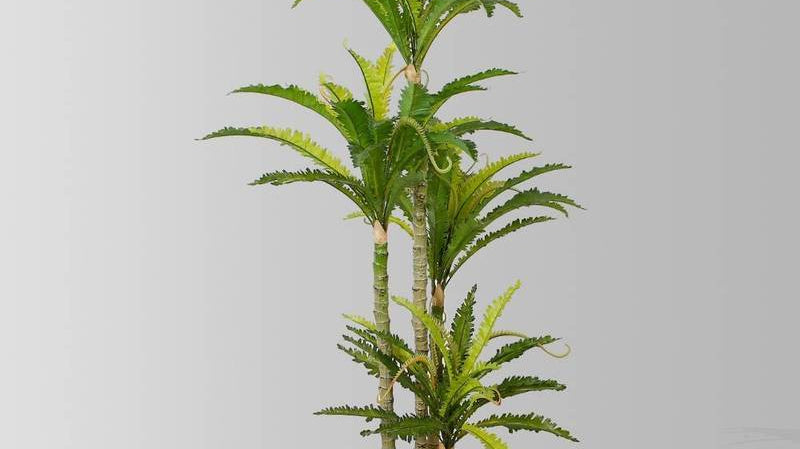 Decorate your Home Office like a Jungle with Faux Fern