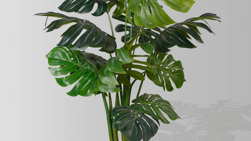The Premium Fake Plants That You Will Love in 2020