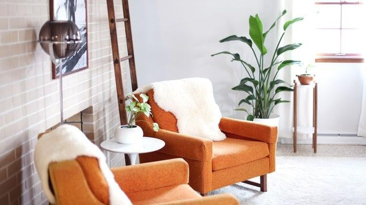 How to clean your fake plants professionally | Artiplanto