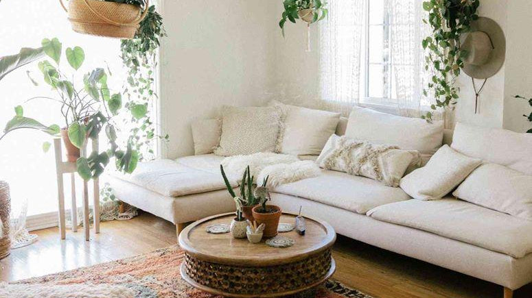 Your AirBnb Home Decor idea by using silk bamboo plants | Artiplanto