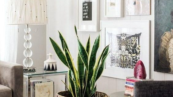 How do I protect my artificial plants outside?
