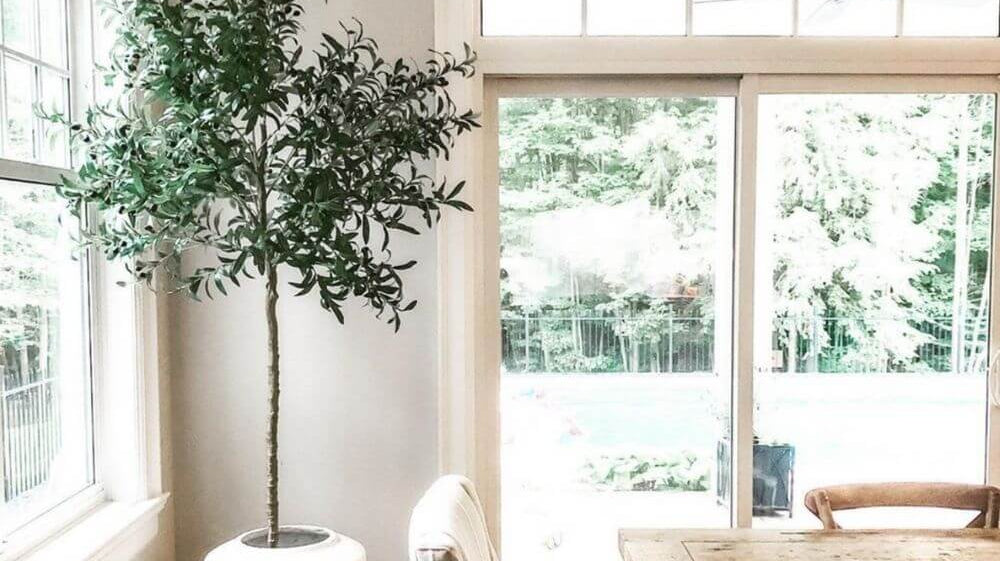 Tips You Need to Know Before Buying Fake Plants