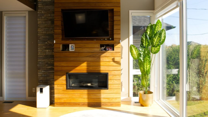 Why Artiplanto Artificial Plants Are the Perfect Home Décor Solution