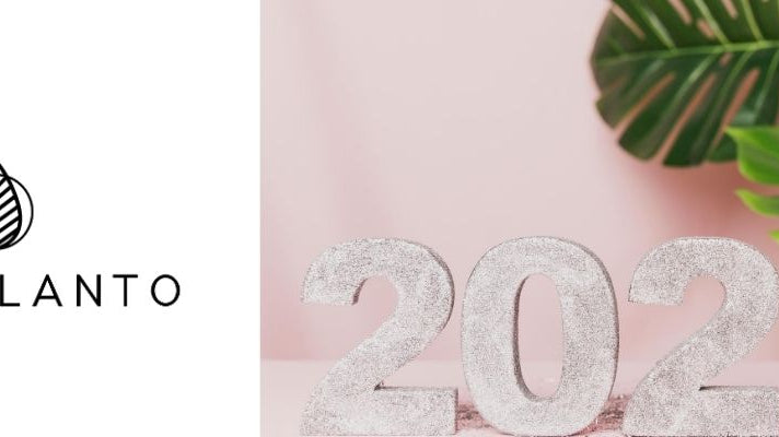 What Are the Best Fake Plants in 2020