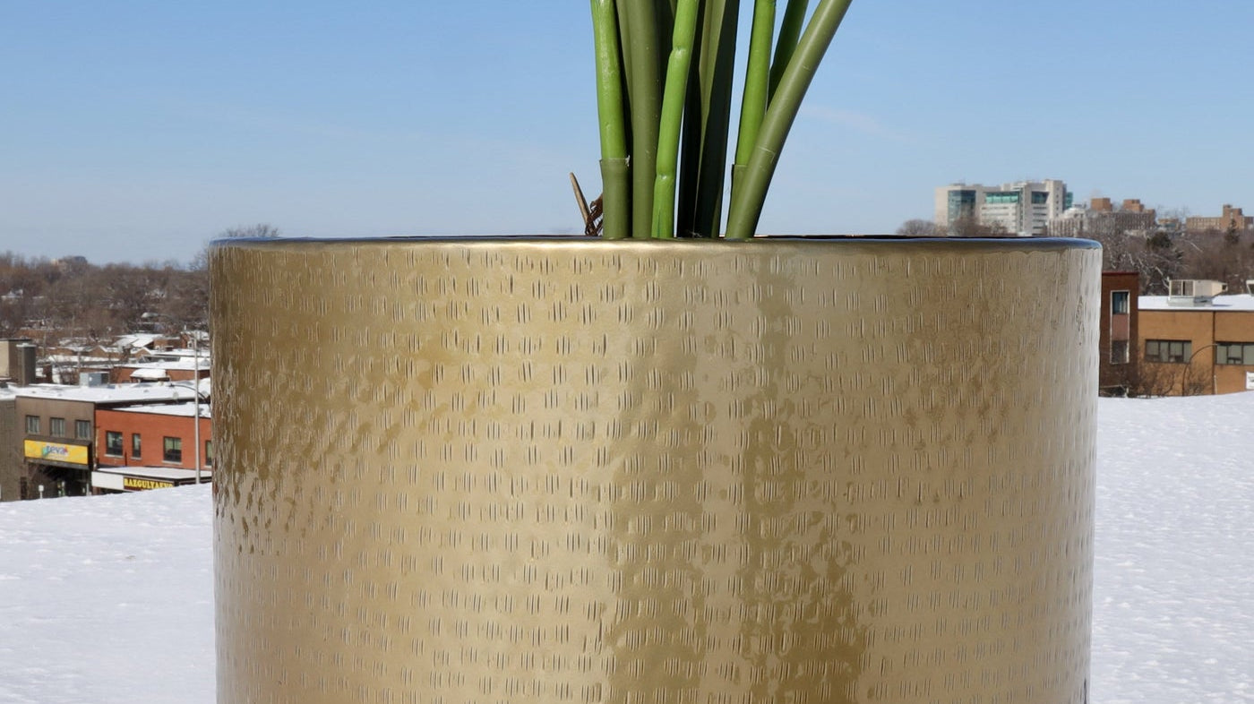 What to Fill Fake Plant Pots With