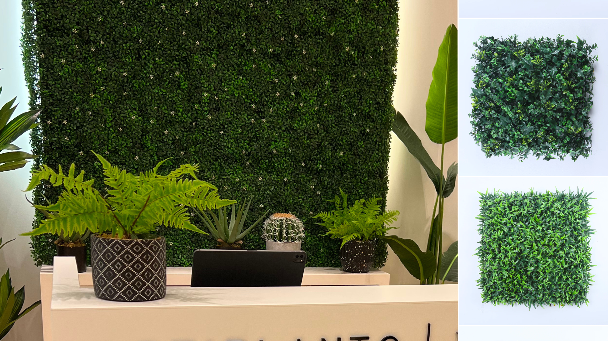 Elevate Your Interior with Artiplanto's Premium Linen Rugs and Pre-Order Green Walls for a Refreshing Touch