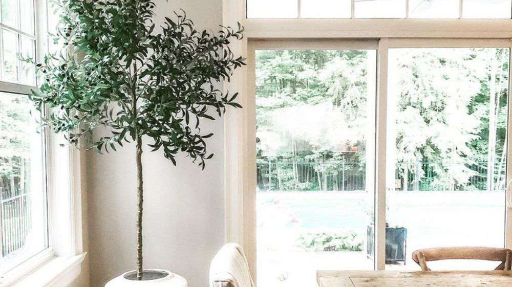 Do You Need A Potted Artificial Succulents Arrangement For Your Home Décor?