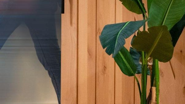 Benefits of artificial plants | Artiplanto