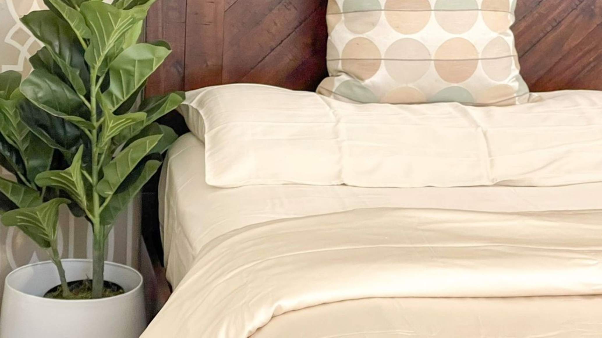 Can Faux Plants Help Your Anxiety?