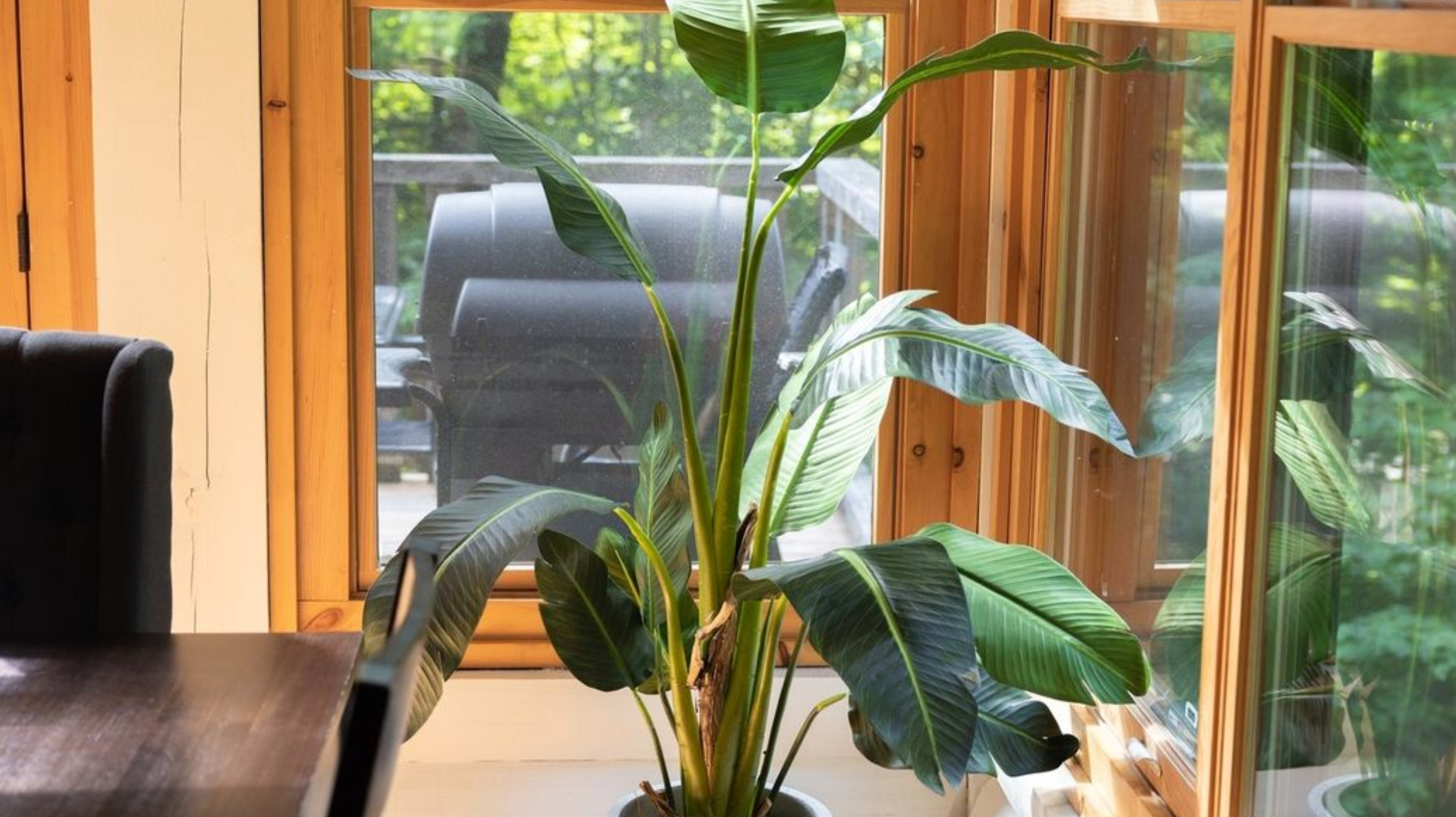 5 Things To Consider When Buying An Indoor Artificial Plant This Winter