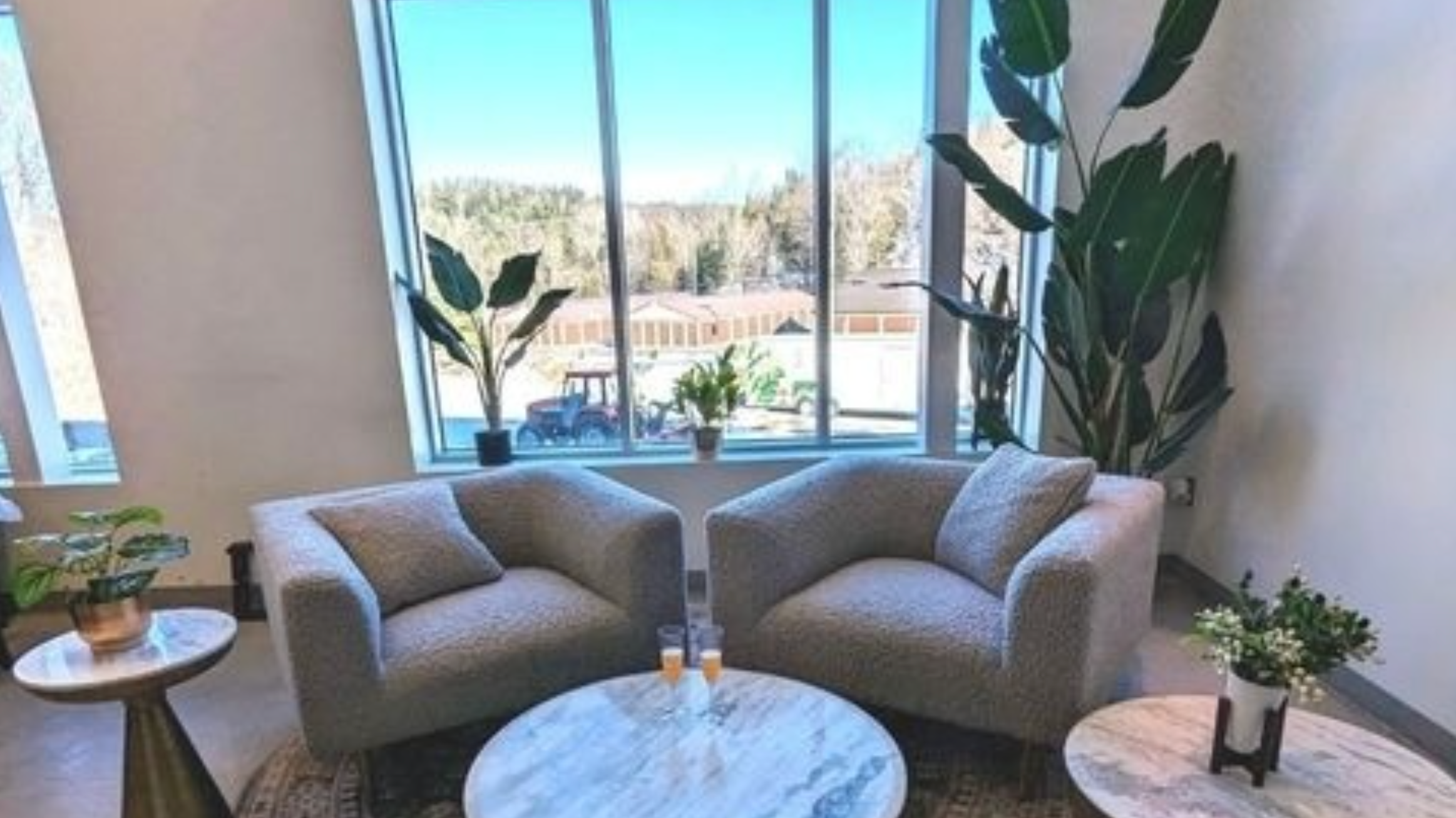 Artificial Plants in the Holidays