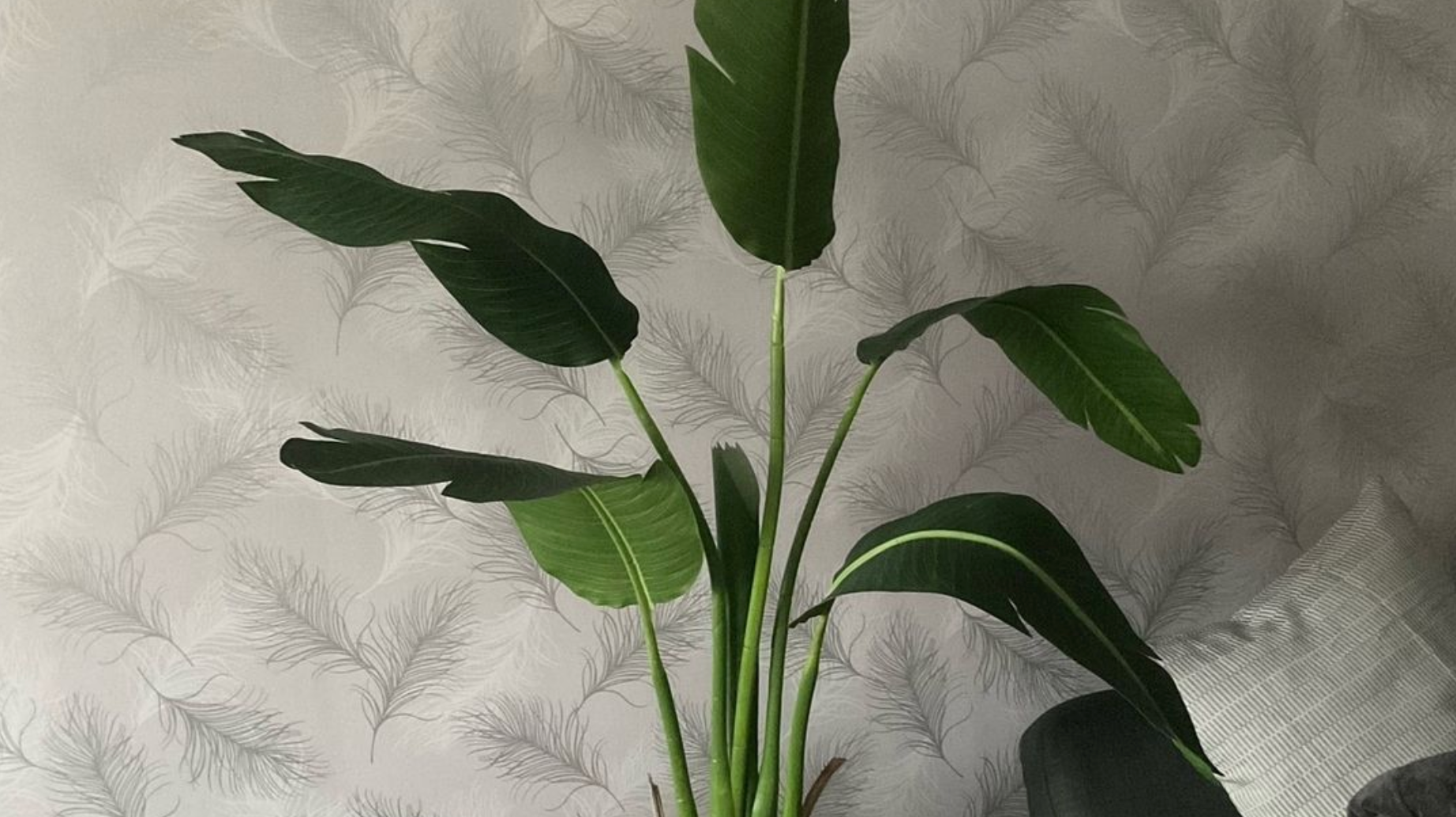 The positives of an artificial Bird of Paradise