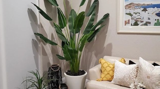 Embrace Summer Vibes with Faux Plant Decor from Artiplanto