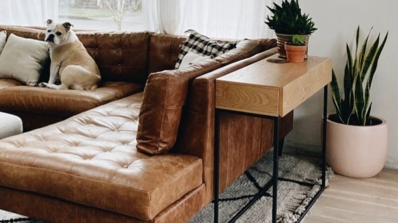 Faux Plants for Pet-Friendly Homes: Beauty without the Worry