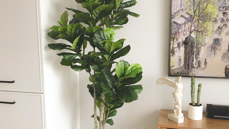 The Green Revolution: Why Faux Plants from Artiplanto.com Are the Ultimate Decorative Perk