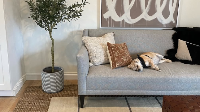 Five Reasons to Choose Artiplanto for Your Artificial Plants
