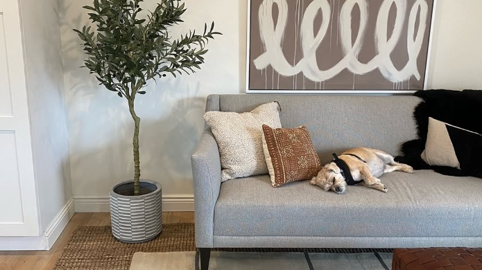 Five Reasons to Choose Artiplanto for Your Artificial Plants
