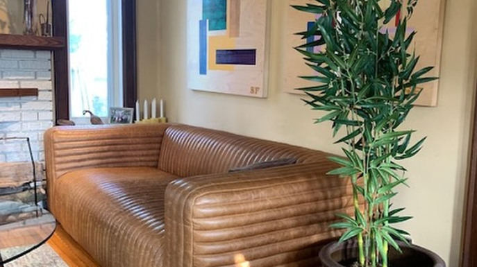 Ready, Set, Style: How Artiplanto Delivers Instant Plant Perfection to Your Doorstep