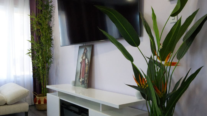 The Real Estate Secret Weapon: Artificial Plants that Sell Spaces
