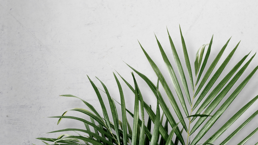 Best Faux Plants to Buy For Spring 2021 to Green Your Space