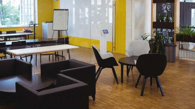 How to Decorate Your Modern Office with Plant Baskets?