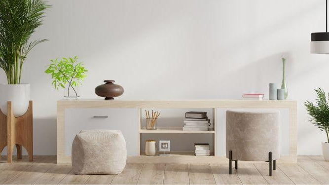 10 Contemporary Planter Choices for Your Living Room