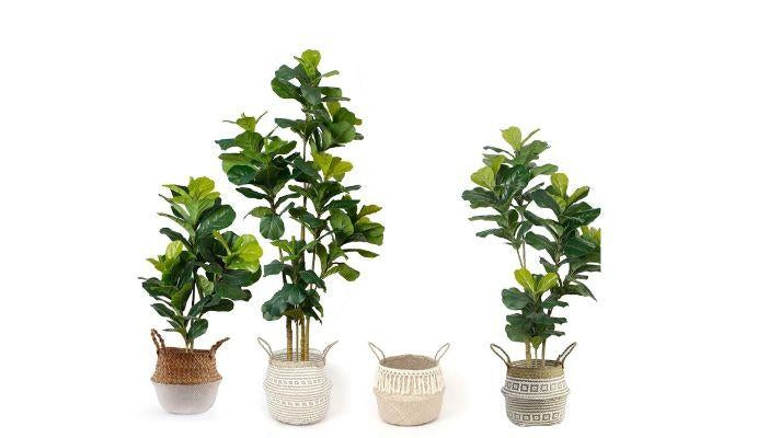 Why Fake Plants Are Once Again an Interior Home Décor Trend