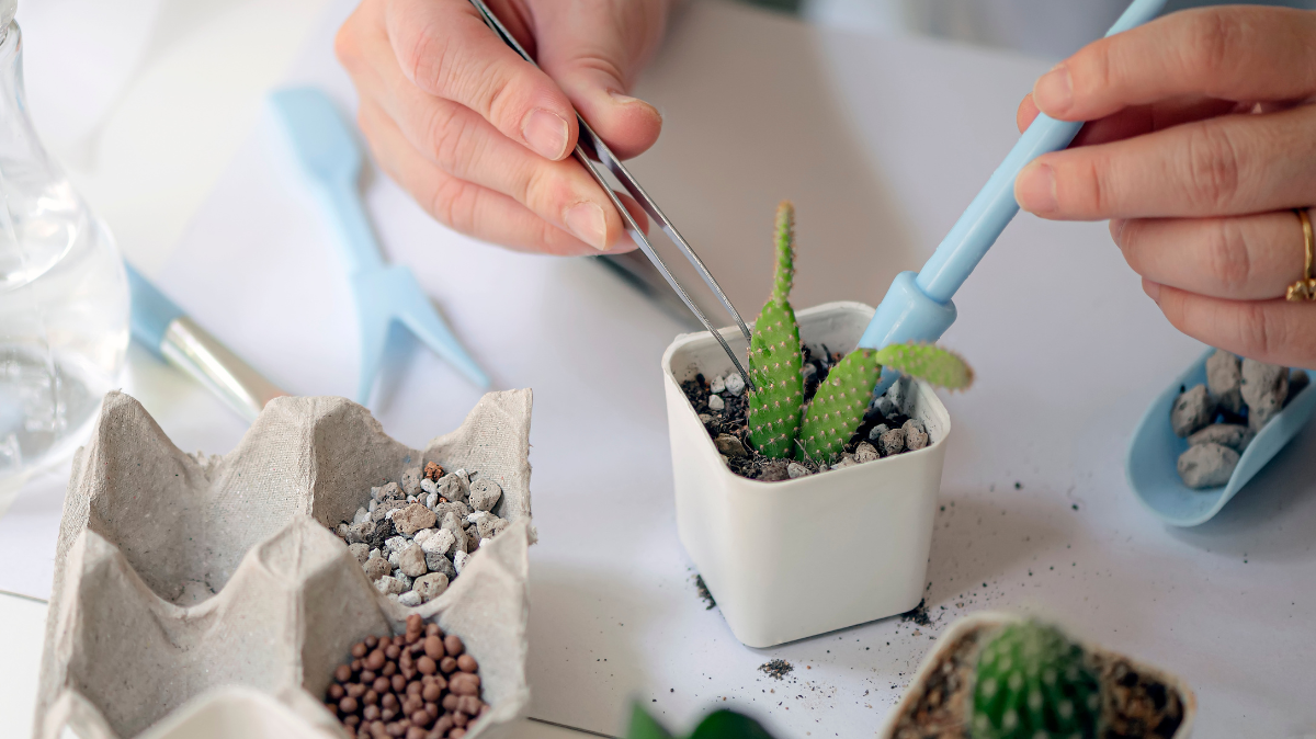 How to Make A Fake Cactus Plant