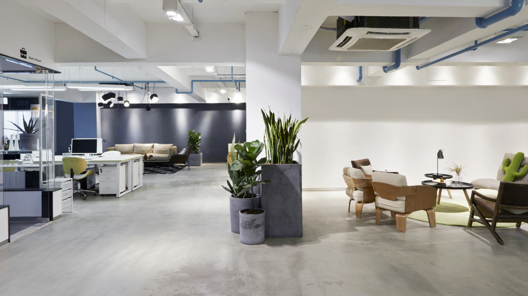 How To Decorate Your Texas Office With Faux Plants