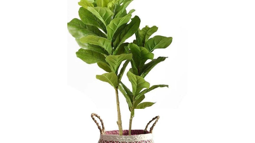 Mother's Day Gift Idea Guide 2020