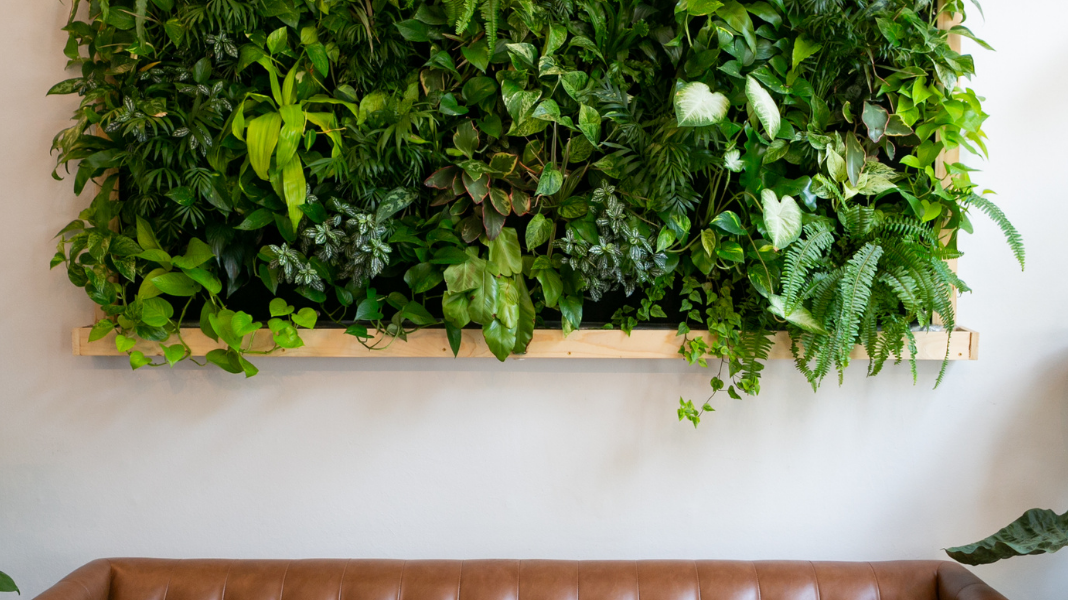 What Are the Best Artificial Plants To Buy In New York For Fall?
