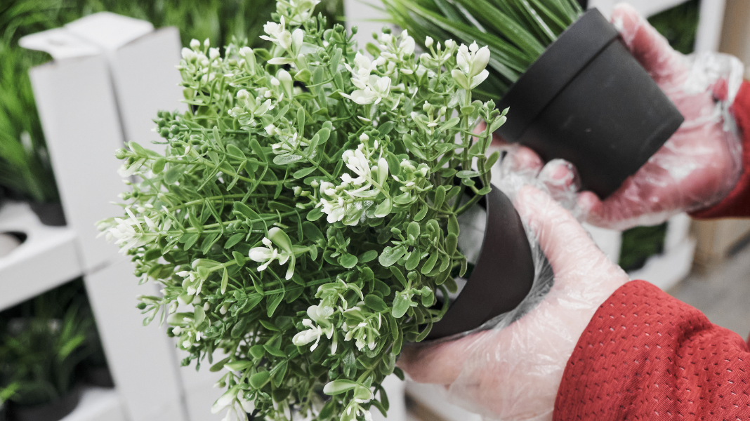 Where to Buy Fake Plants in New York to Fill Your Home With Green